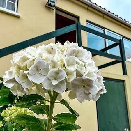 شقة Luana House Biscoitos  المظهر الخارجي الصورة